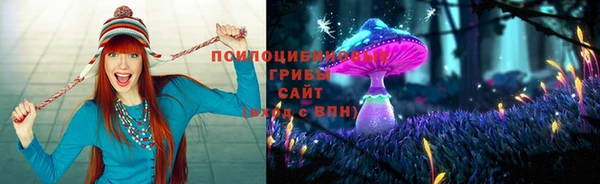 каннабис Баксан