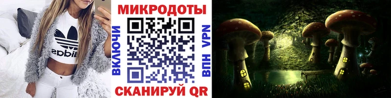 Псилоцибиновые грибы Psilocybe  наркошоп  Городище 